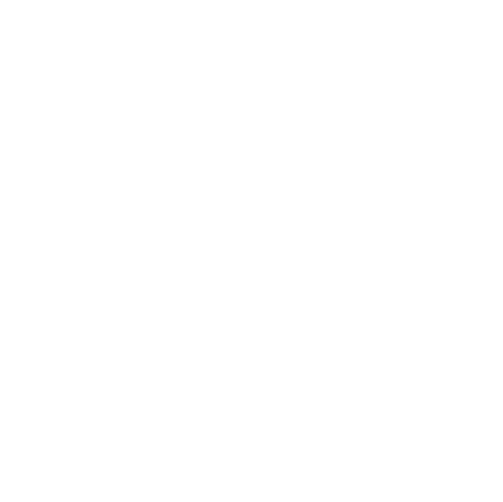 CCTV icon