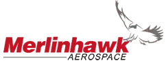 Merlinhawk Logo